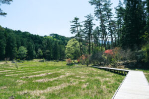黒沢湿原