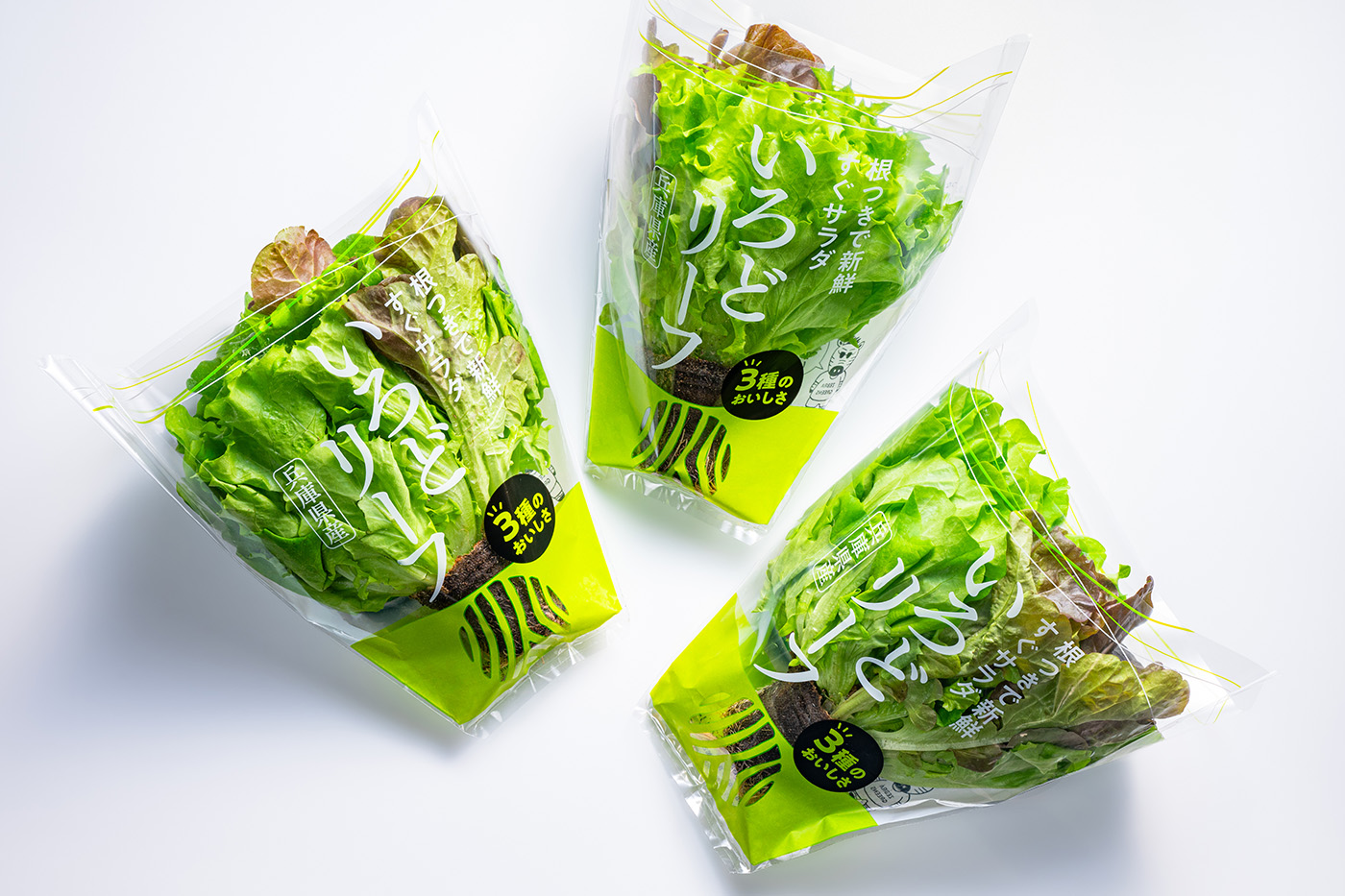 リーフレタス　パッケージデザイン制作