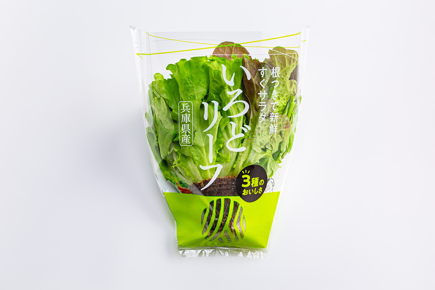 リーフレタス　パッケージデザイン制作