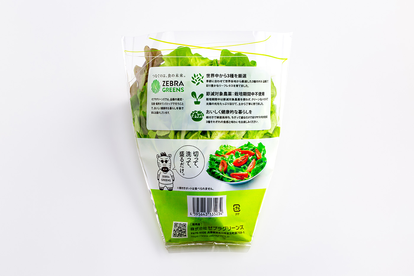 リーフレタス　パッケージデザイン制作