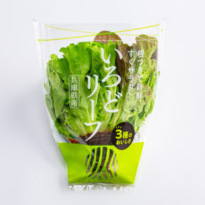 リーフレタス　パッケージデザイン制作