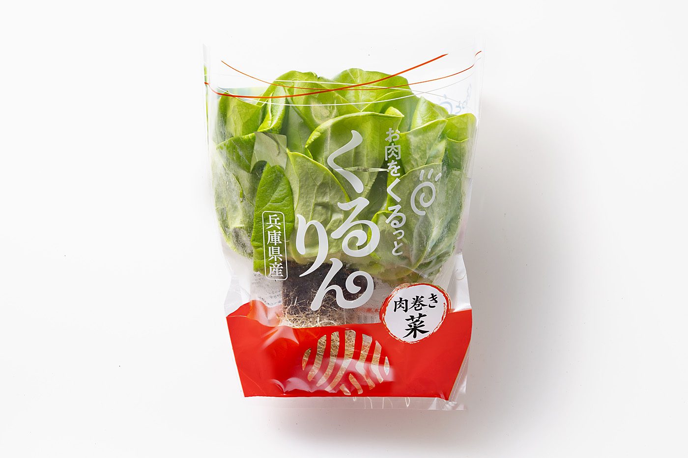 サラダ菜　パッケージデザイン制作